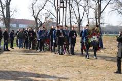 Mini IMG 5725